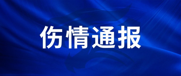 武汉三镇伤情通报:王毅右膝韧带损伤休4-6周,陈哲超踝伤2-3周